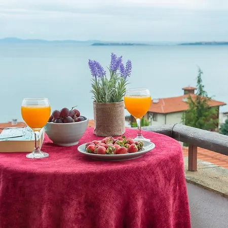 Garden Of Eden Pmg Daire